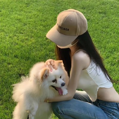 鹰与枭